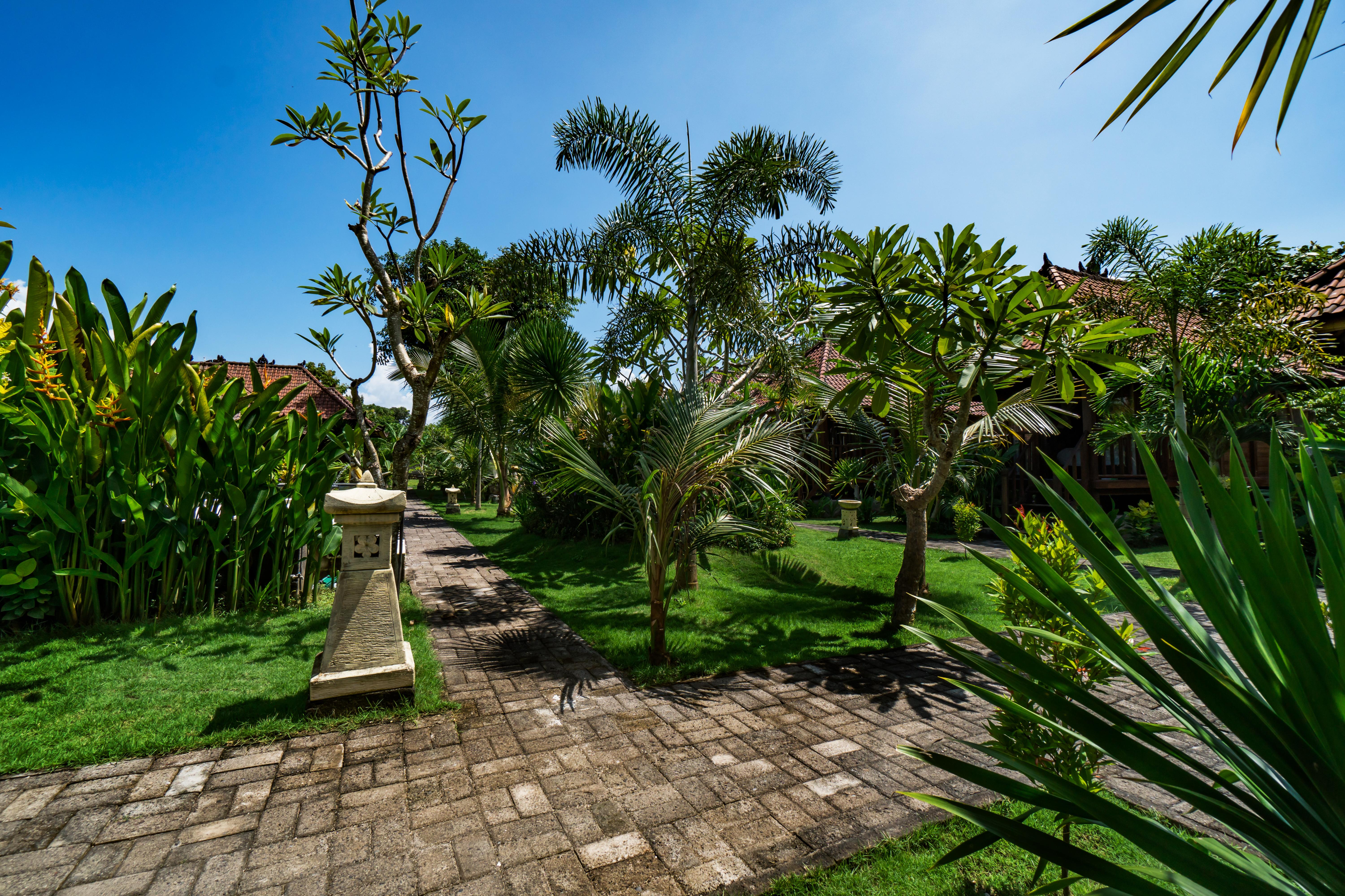 The Cozy Villas Lembongan Nusa Lembongan Exterior foto